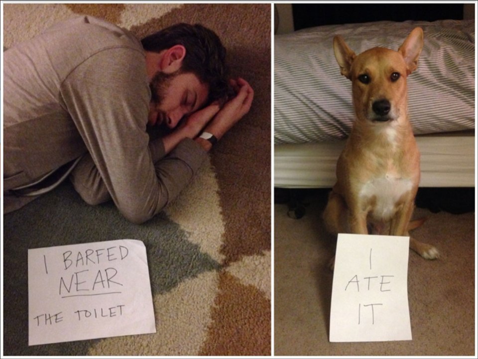 Drunk fails