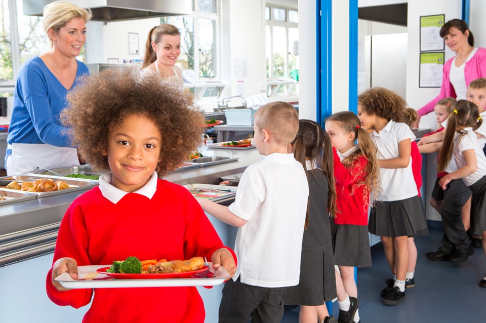 School meals will be served COLD from now on to cut costs