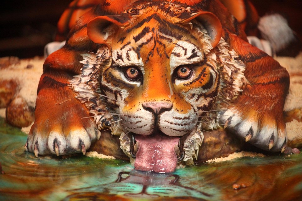 tiger