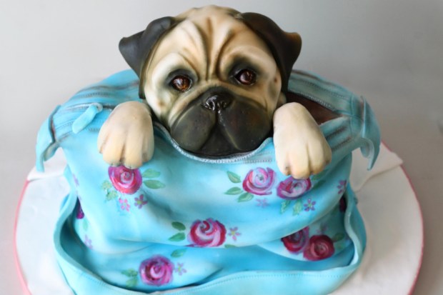 pug cake