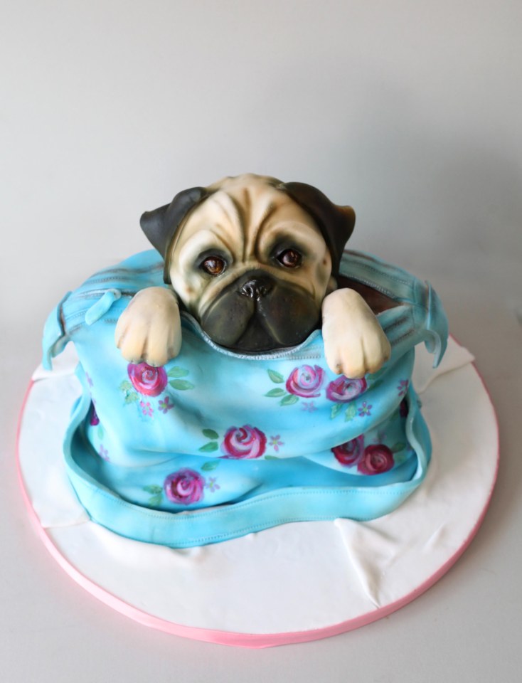 pug cake