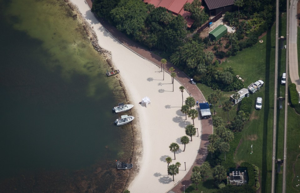 A large search and rescue mission was launched after the snatch
