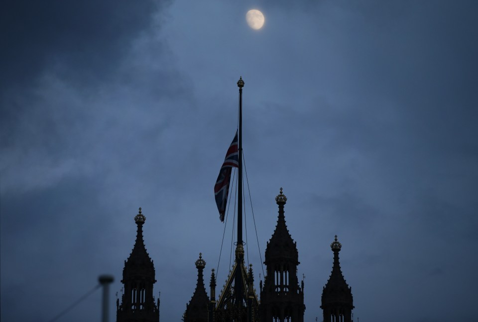 Jo Cox murder