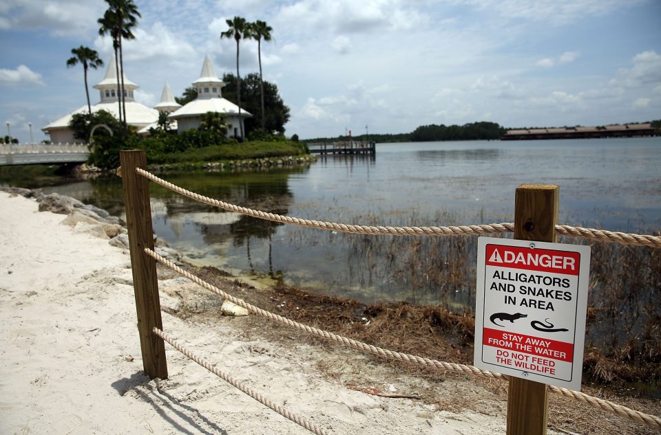 Disney Installs Alligator Warning Signs In Aftermath Of Toddler Death At One Of Its Resorts