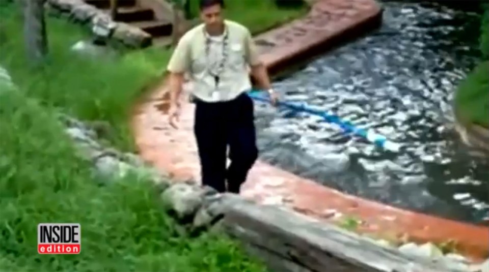 Footage was recently release of a Disney World employee warding off a small alligator with a stick