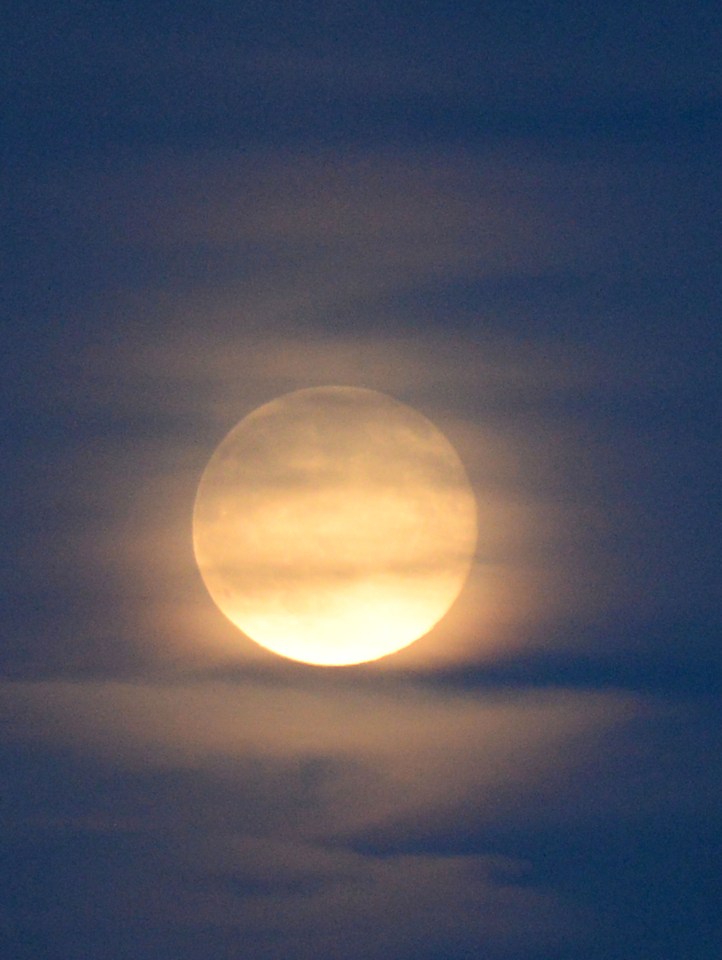 Extreme close up... the moon was bright and full