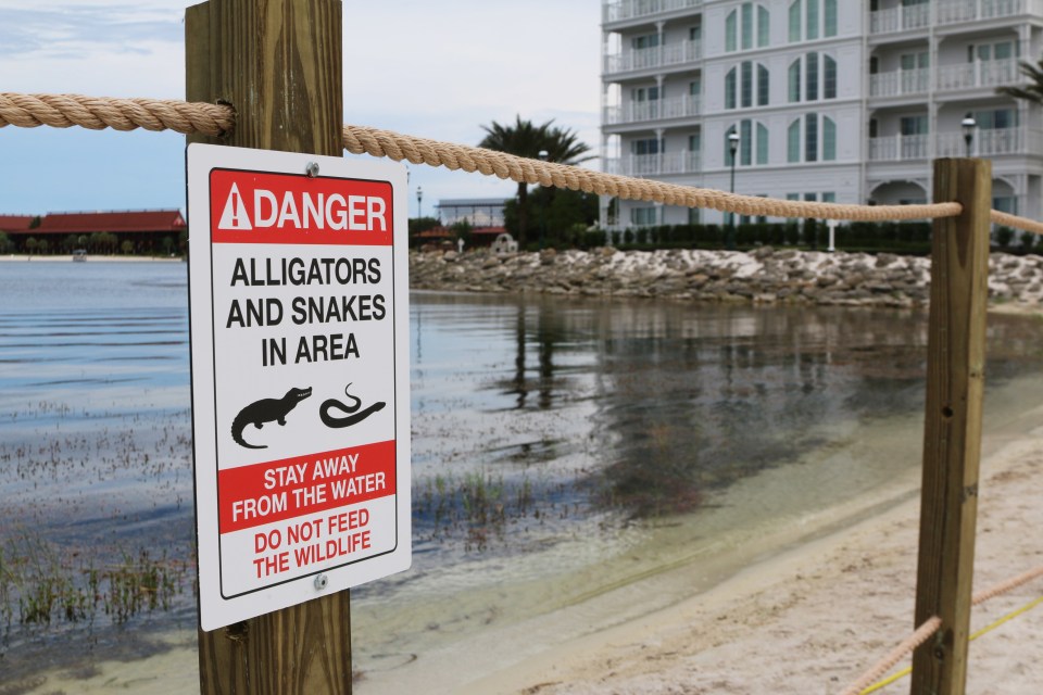 A new sign is seen posted on a beach outside a hotel at a Walt Disney World resort in Florida