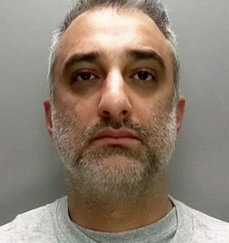 Raja also pleaded guilty to a charge of attempted child destruction, possession of a knife in public, and the wounding and assault of two passers-by