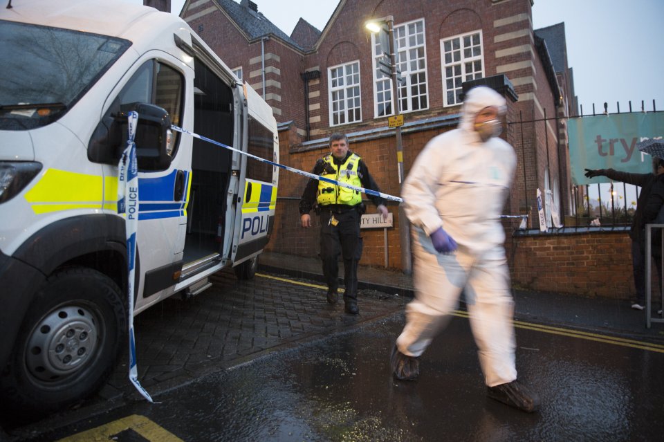 Pregnant woman stabbing