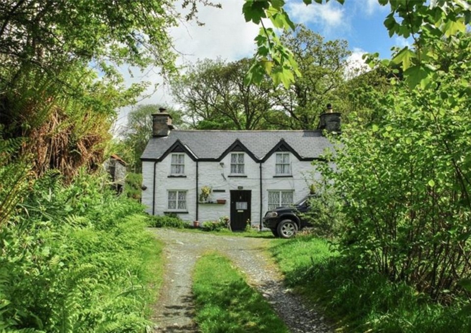 Dafydd Hardy estate agents believe the homes are 'an excellent investment opportunity'