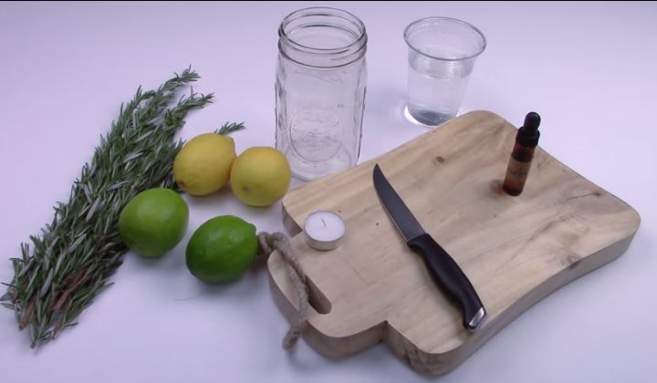 This simple remedy is a great alternative for keeping the flies at bay