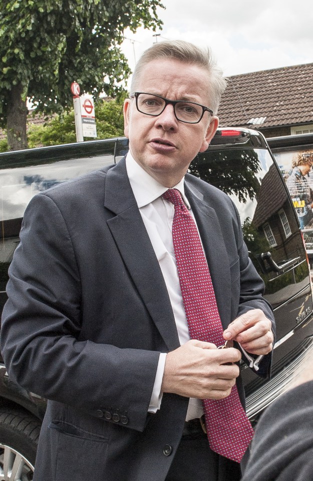 Dream ticket . . . Michael Gove