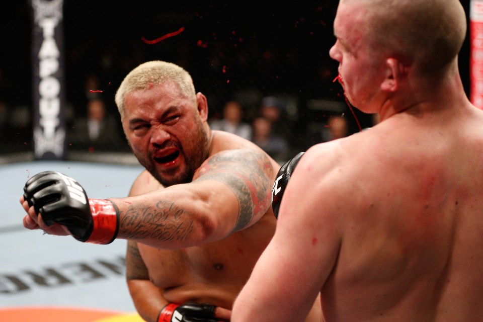 Big hitter: Mark Hunt has flattened many of his past opponents and he came out swinging at the UFC in a recent interview