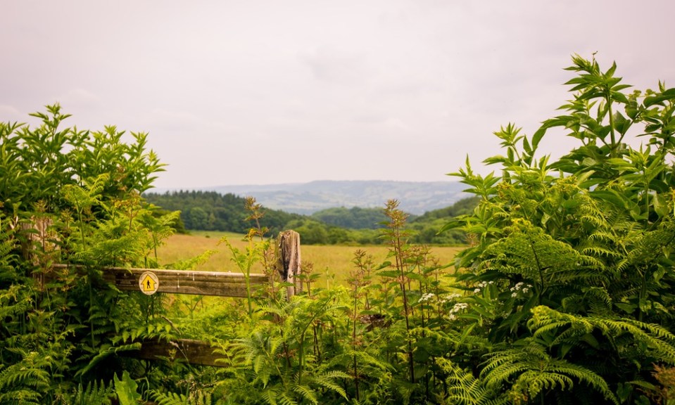 Stunning surroundings make this an even more attractive destination 