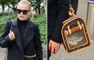 List of items stolen from Rita Ora's house in £200,000 raid including £2k Louis Vuitton DOGGY BAG