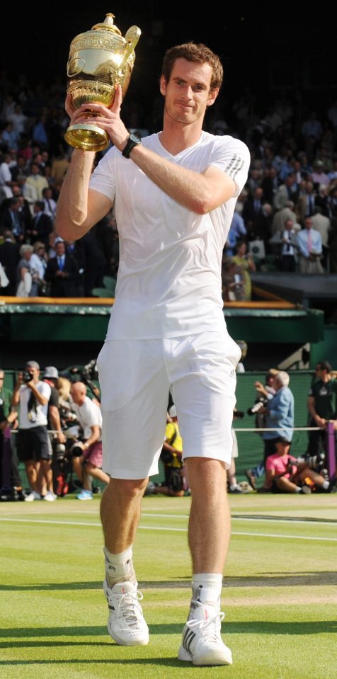 Brit hero Murray hopes to win his second Wimbledon title this summer - but Novak Djokovic will be favourite