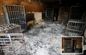 Chilling images reveal the hellhole prisons where ISIS captives were BURNED ALIVE as the jihadis fled Fallujah