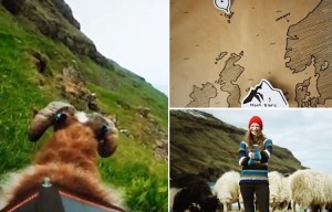 Faroe Islanders create their own version of Google Street View by attaching cameras to the backs of sheep