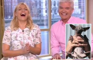 Holly Willoughby gets the giggles as she interviews the World’s Ugliest Dog
