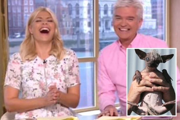 Holly willoughby