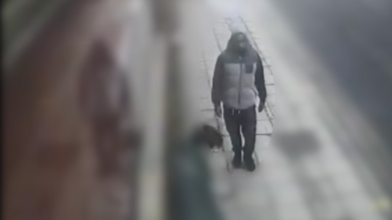 Abdi's victims were all girls aged between 11 and 14 in North London