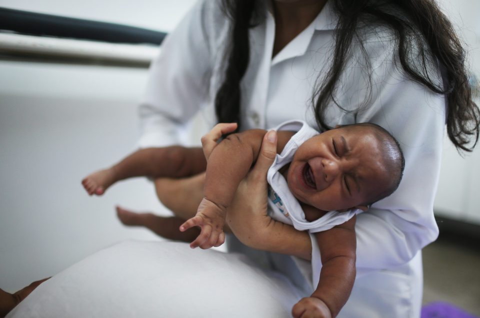 Brazil Faces New Health Epidemic As Mosquito-Borne Zika Virus Spreads Rapidly