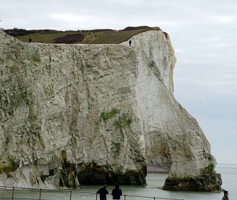 Just months ago the cliffs had the biggest fall in decades