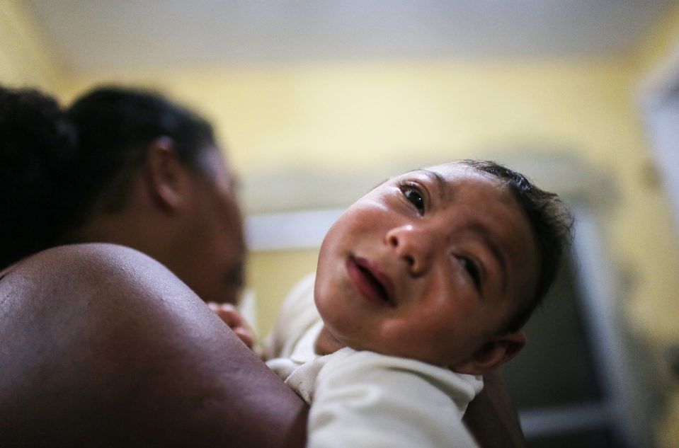 Brazil Continues Battle Against Zika Virus Ahead Of Olympic Games