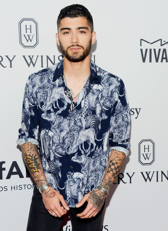 Zayn Malik is having a career change to become a TV producer