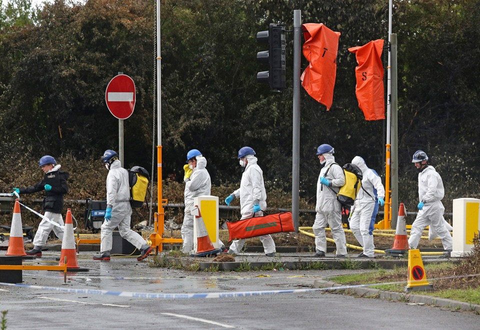 Shoreham Airshow crash