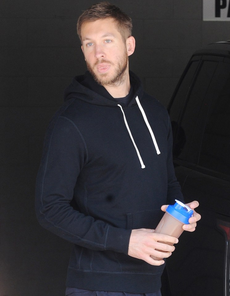 Calvin declared in an interview that he would be unlikely to ever work with Taylor