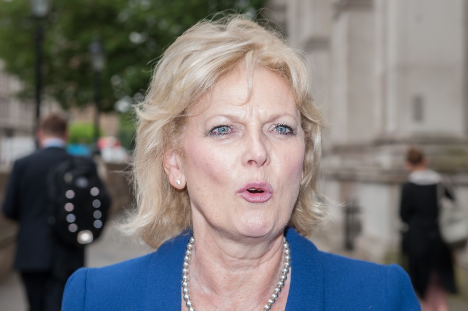 She told the friends the offer was “an insult” as she is almost 20 years older than Ms Truss and worked as a criminal barrister for 15 years