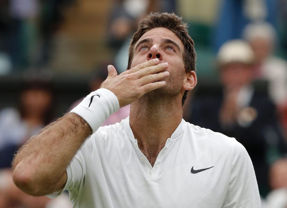 Argentina's Juan Martin del Potro celebr