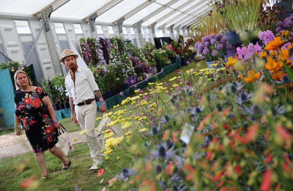 Preview Of The Hampton Court Flower Show