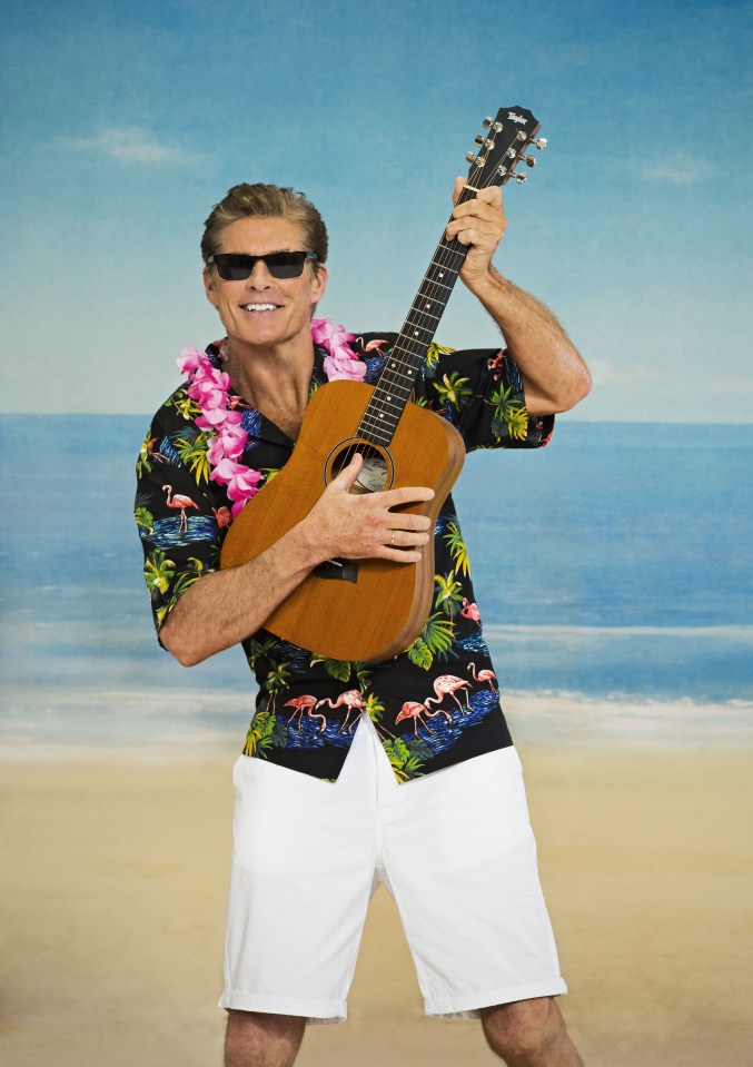 The Hoff is no stranger to summer anthems after decades of performing Limbo Dance