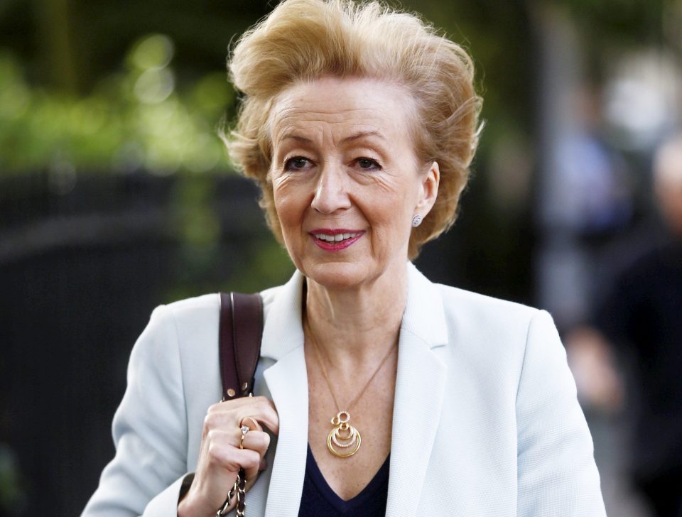 Andrea Leadsom