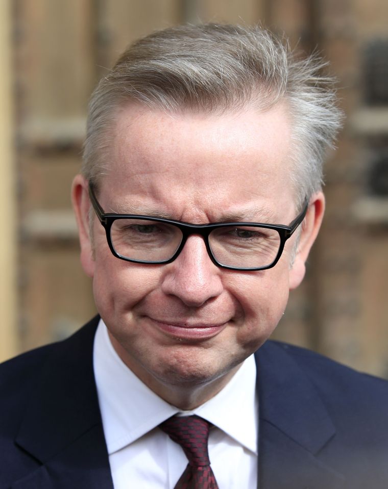 Conservative leadership bid