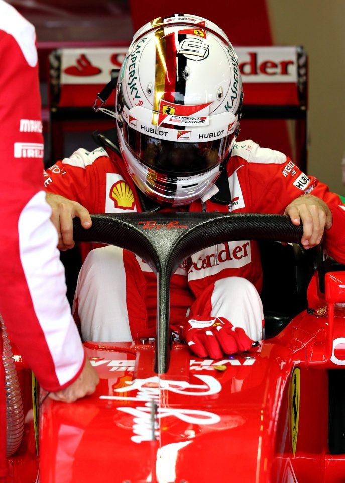 The h 'halo' system has not been implemented next season despite driver's concerns
