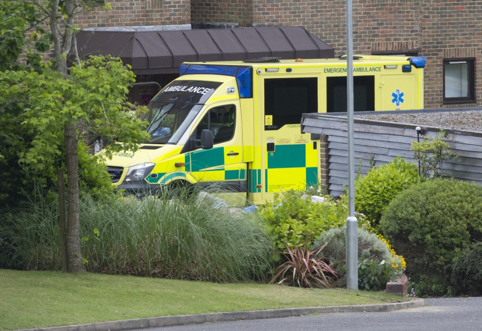 Police and Ambulance called to Gazza's house 2-days in a row.