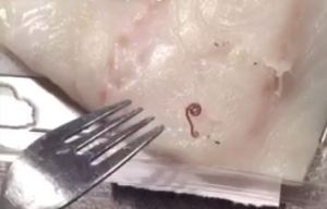 A shopper shocked to find a WORM in her fish blasts supermarket for only giving her £10 as compensation