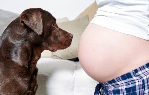 Woman supported on Mumsnet after mother-in-law slams her for keeping her DOG while pregnant