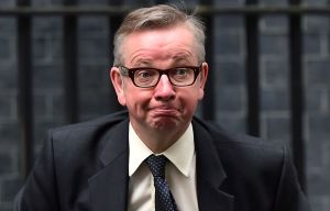 Michael Gove was eyeing up PM position as far back as three years ago, says Sam Cam's sis