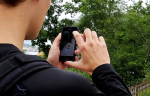 Hapless fugitive arrested after turning up at police station playing Pokemon Go