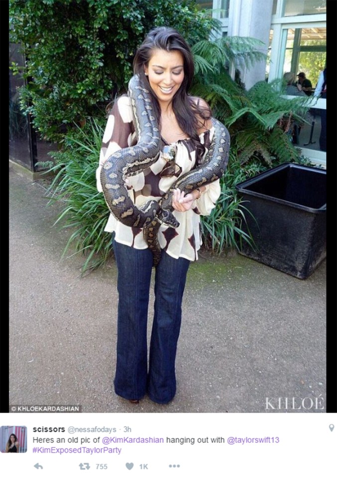This user referred to Taylor being branded a snake by fans