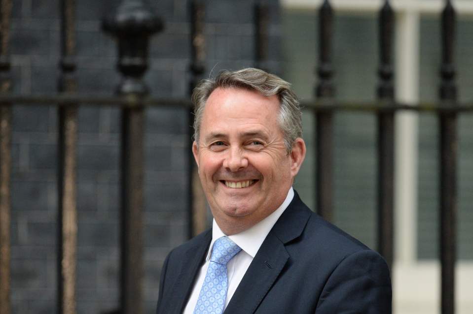 Liam Fox and others will not get on but the three must work together to get the best deal for the UK