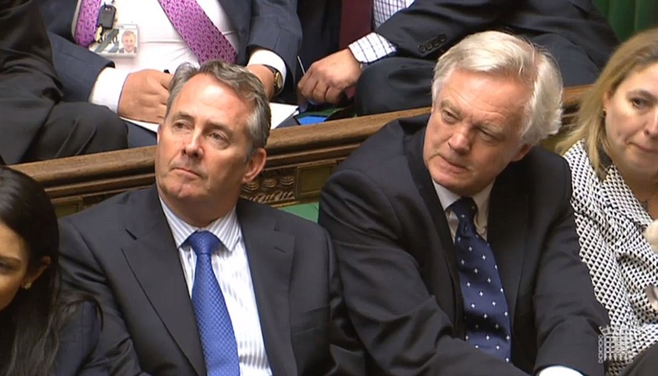 However Boris' Cabinet colleagues Liam Fox and David Davis do not think the UK can give up any control of its borders
