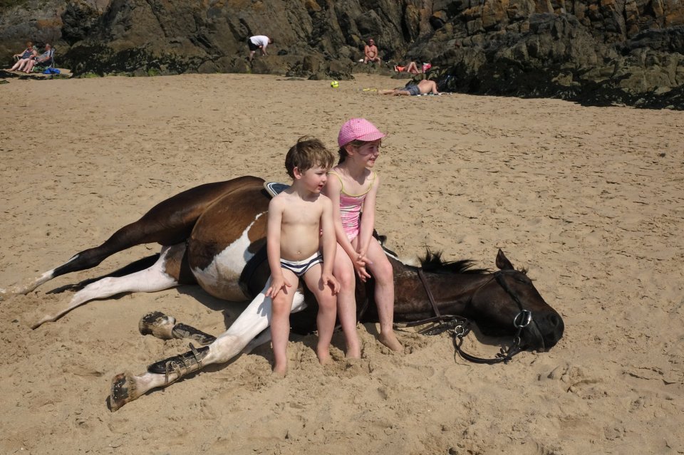 The kids said hello to a sunbathing horse at the beach on what has been another hot day in the south of the UK
