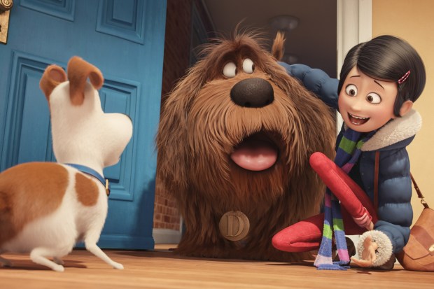 The Secret Life Of Pets