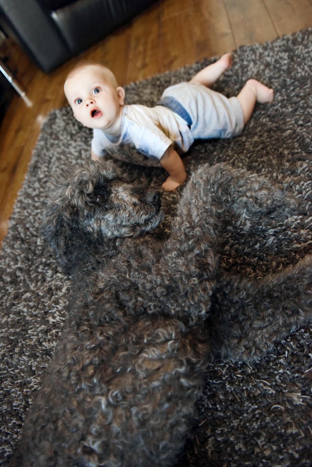 Deb first shared a shot of the family pet with her baby son, with many viewers struggling to make out the pooch on the matching rug