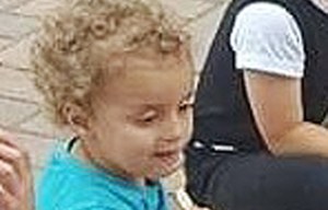 Lewis Palmer missing